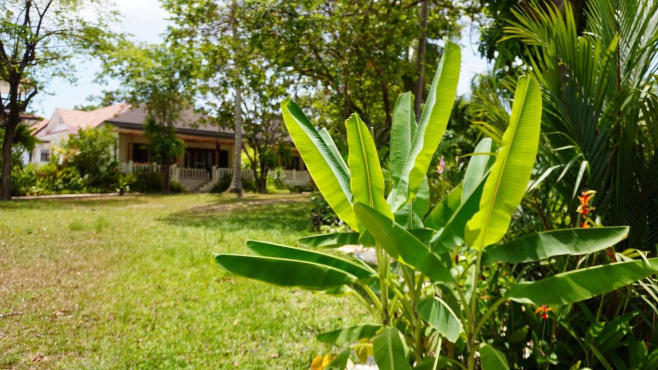 Hotel Treeya Lanta Ko Lanta Exteriér fotografie